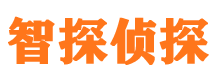 龙井出轨调查